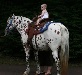 Lease Camp Ponies